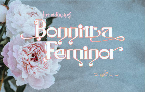 Bonnitta Feminor: A Vintage Display Font for Web Design