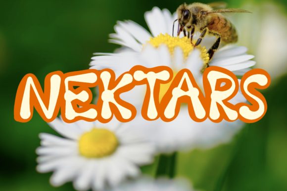 Discover Nektars: A Bold and Unique Display Font