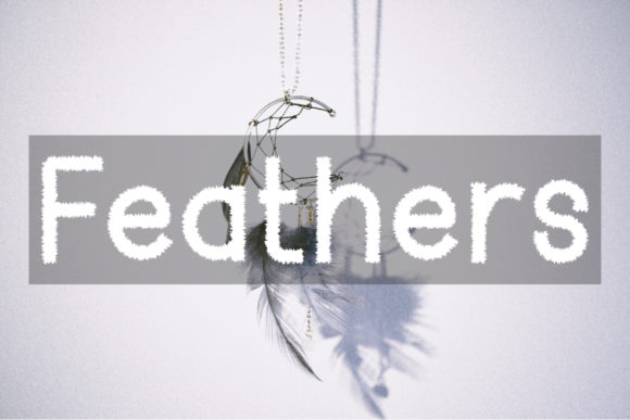 Feather: A Quirky and Unique Display Font for Standout Designs