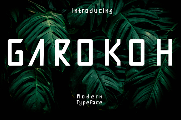 Garokoh Font Review: Elevating Small Business Branding