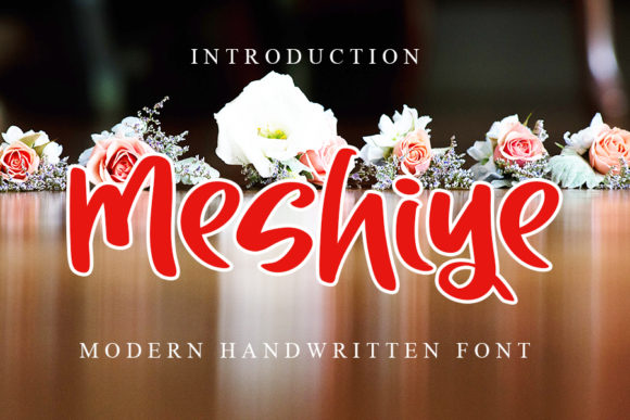 Meshiye: A Playful and Authentic Display Font