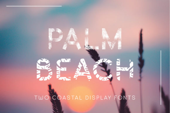 Palm Beach Font Review: Summer Branding for Small Business