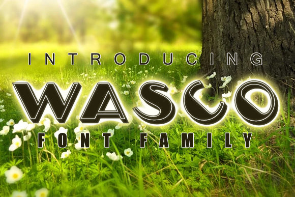 Wasco: A Fun and Casual Display Font for Crafters